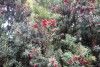 DSC05604