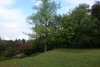 DSC05615