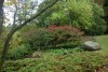 DSC05623