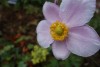 DSC05627
