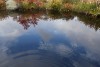 DSC05633