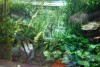 DSC05681