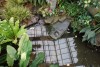 DSC05687