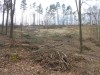DSCN6301