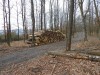 DSCN6304