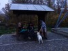 DSC03930