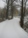 2012_Dolni_Morava