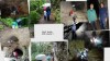 2017_byci_skala_2017