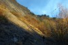 DSC05997