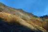 DSC05998