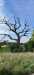 WhatsApp-Image-2022-09-25-at-19.32.52