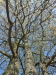 DSCN3514