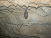 p1100694