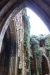 DSC04201