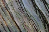 DSC01611