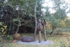 DSC01641