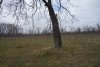 DSC09670