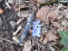 DSCN1471