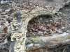 DSCN1472