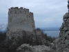 DSCN1520