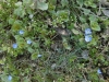 DSCN1582