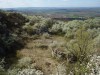 DSC01390