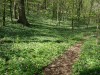 DSC01395