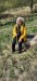 WhatsApp-Image-2022-04-17-at-17.06.39-3
