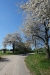 DSC02980
