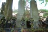 DSC06502