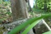 DSC06506