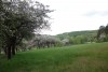 DSC06536