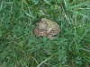 DSCN0573