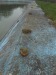 DSCN0581