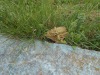 DSCN0584