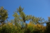 DSC06675