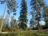 DSCN0913