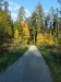 DSCN0933