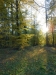 DSCN0953