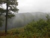 DSCN5737