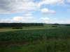 DSC09753