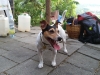 20140628_195855